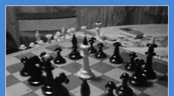 Игра шахматный король. Шахматы игра королей. Что же она сделала